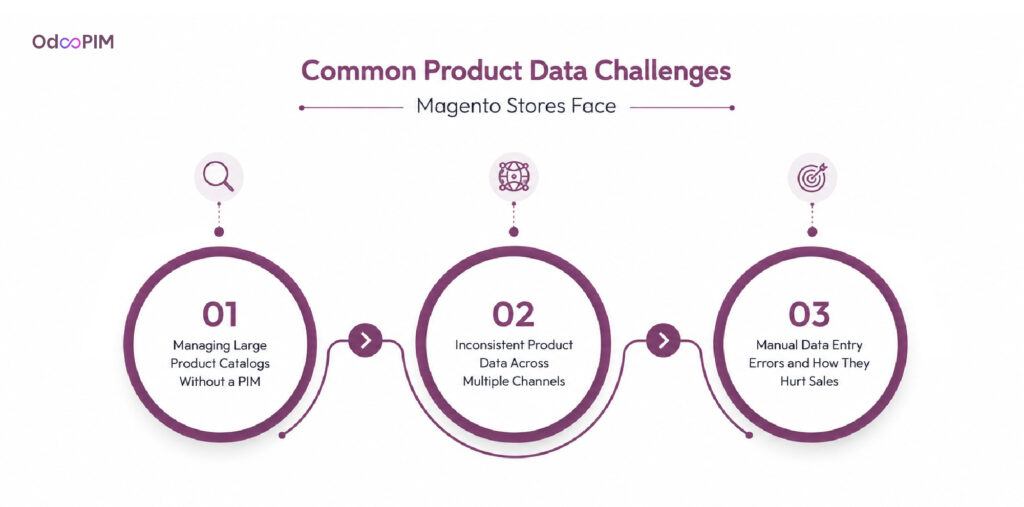 Common Product Data Challenges Magento Stores Face