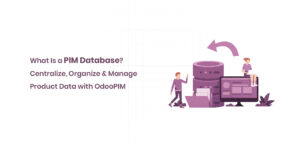 What Is a PIM Database