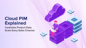 Cloud PIM