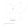 Seasonal Collection Planning