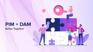 PIM + DAM
